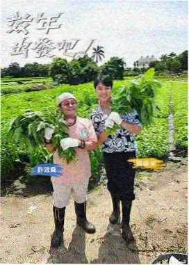 欧冠赛程预告
